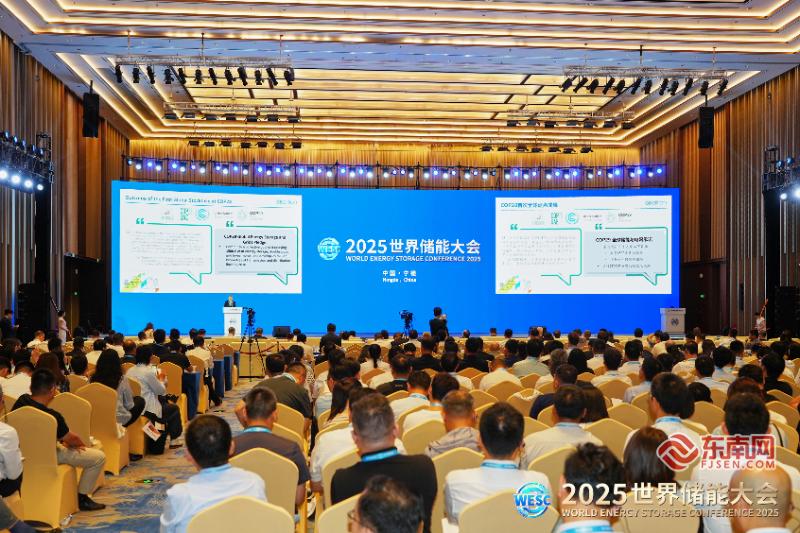 國際可再生能源署在寧德發(fā)布其全球首份儲能